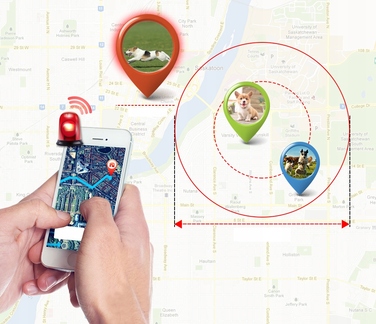 GPS-нашийник локатор TK909 для собак та котів, SOS, керування через додаток, без абонплати