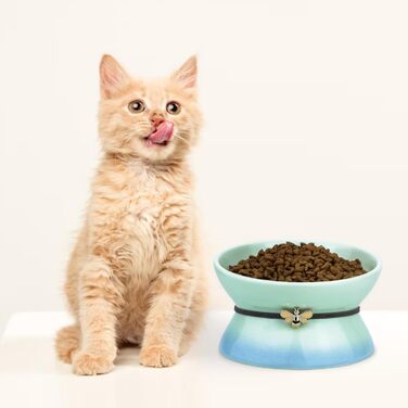 Підвищений годівниця для котів та собак Busnos, керамічний, жовтий, 15.5x15.5x11 см