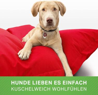 Ліжко для собак великих та середніх порід Green Bean 140x180 см: м'яке ліжко, килимок, місце для сну, лежанка для тварин, диван для собак, ліжко для собак, матрац для собак