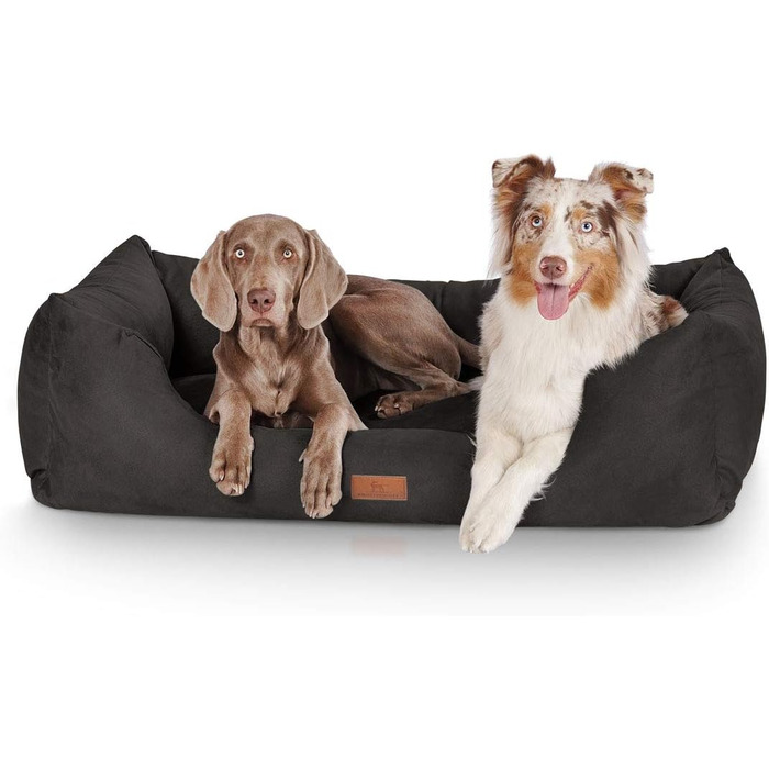Кенгуру Кенгуру Hundebett Dreamline з велюру XXL 120 x 85 см Чорний - знімний чохол - легко мити - для великих, середніх та маленьких собак Чорний L 120 x W 85 x H 25 см