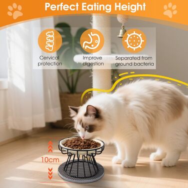 Набір мисок для котів (2 шт) з підставкою, керамічні миски для корму та води, силіконовий килимок, бежевий колір