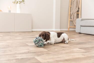 TRIXIE Килимок-головоломка для собак 'Schnüffelteppich' – інтелектуальна іграшка для собак, 70x47 см, 32005