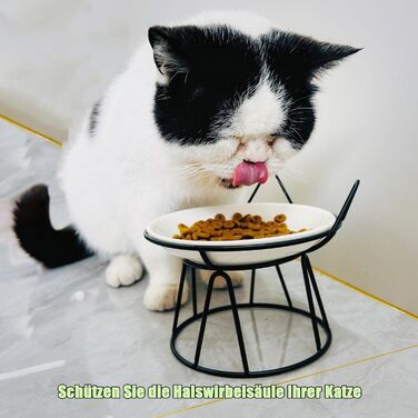 Котлові миски для котів, 2 шт. з підняттям, керамічні, з металевим підставкою, захист шиї, годівниця для котів