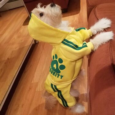 Теплий худі для собак Долахові: м'який пуловер з флісу для маленьких та середніх собак (Чихуахуа, Тедді)