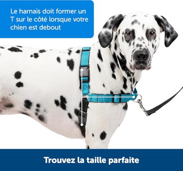 Шлейка для собак PetSafe Easy Walk Deluxe, велика, океансько-блакитна/чорна, з лінією 1,8 м, міцна, з м'якою підкладкою