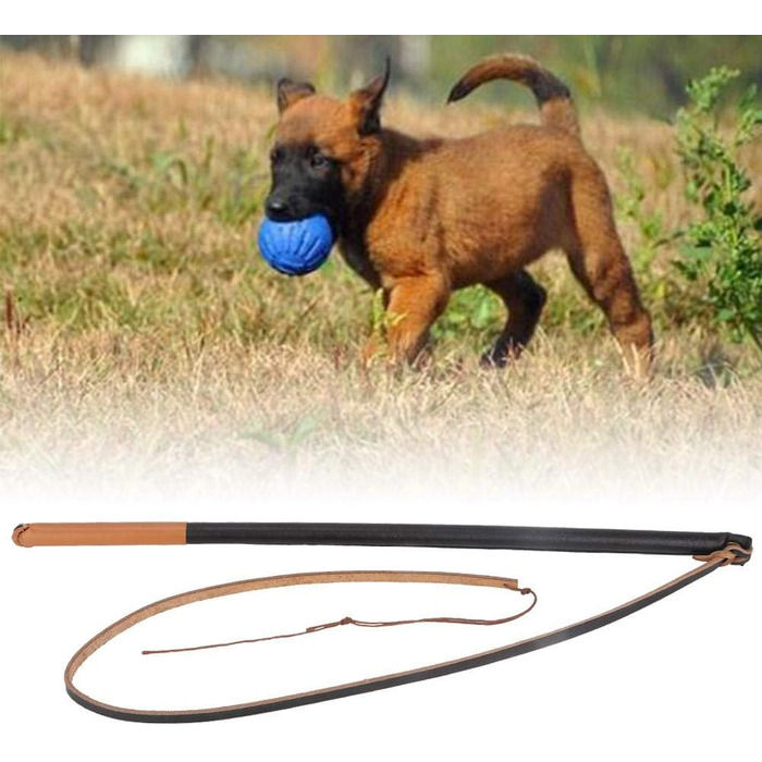 Навчальний жезл для собак, шкіряна петелька для дресирування середніх порід, випадковий колір