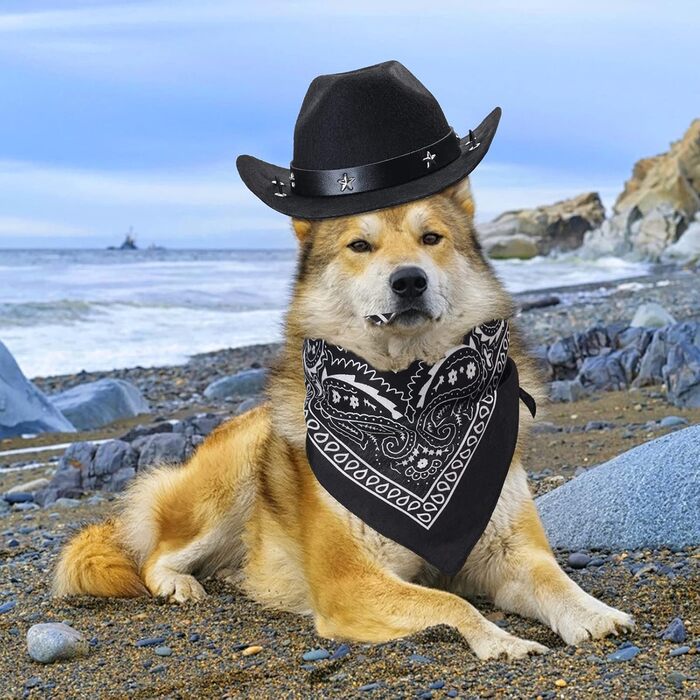 Костюм ковбоя для собак та котів Yewong, 2 шт. (капелюх + бандана)