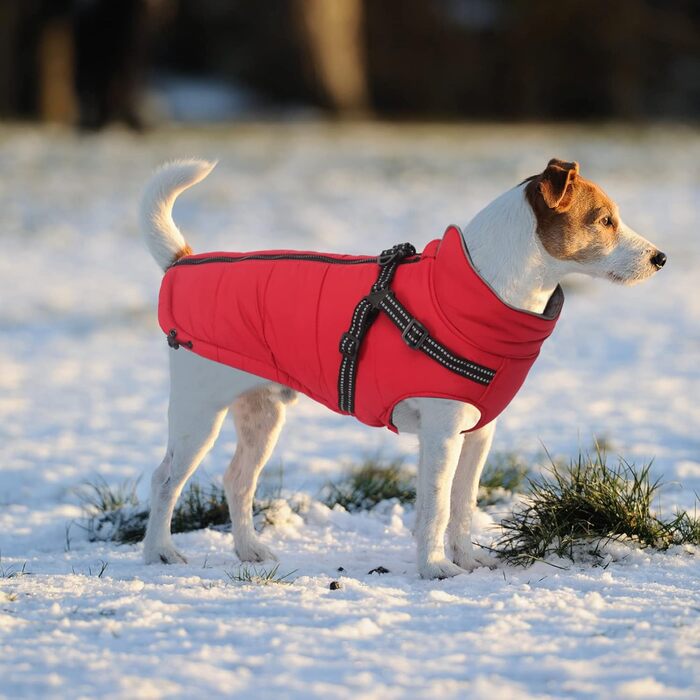 Зимові куртки для собак: водонепроникні, світловідбиваючі, з повним обхватом грудей. Підходять для малих та середніх собак. Червоний колір, розмір M.