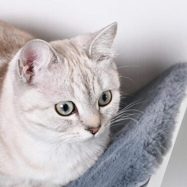 PawHut лежак для котів на стіну, котяче ліжко з МДФ, білий+сірий, 41x28x21 см, плюш, настінне кріплення