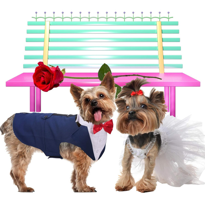 ЕлегантнийSmoking для собак середніх та великих порід, костюм смокінг, набір для вечірки/весілля з знімним коміром, комплект для косплею, відпочинку (2XL, синій)