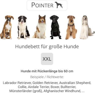 Ортопедичне ліжко для собак великих порід - Pointer, з знімним матрацом, миється до 95°C, стійке до подряпин та укусів, Made in Germany (XXL 100x90 см, світло-сірий)