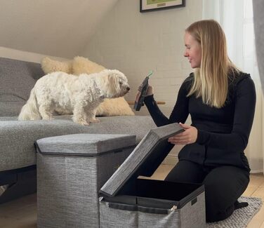 Двоступенева драбинка для домашніх тварин PetStair Deluxe зі сховищем