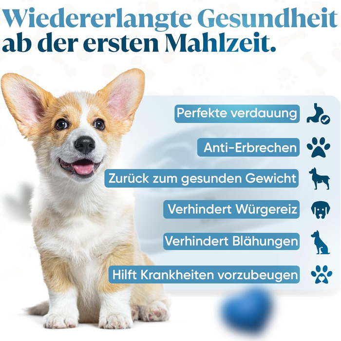 Антишвидкоїжка для собак великих порід | Повільне та здорове харчування, Slow Feeder, сприяє травленню, запобігає блювоті, неслизький, миска для собак, великі та XXL породи