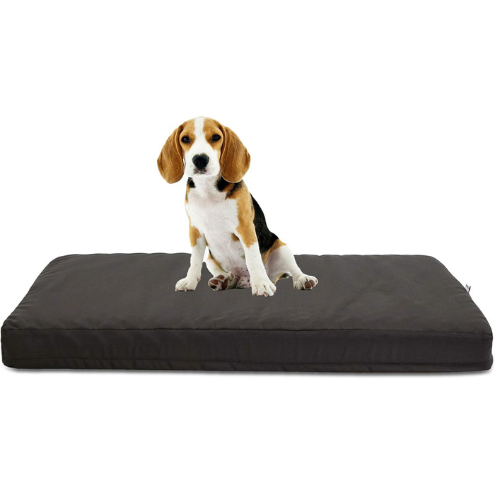 Ортопедична подушка для собак Jump - для відпочинку вашого собаки. Знімний та легко праний чохол, водовідштовхувальне полотно, Made in Italy