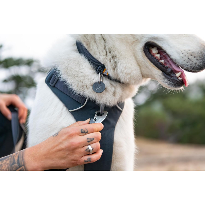 Нашийник для собак Ruffwear Front Range з V-подібним кільцем, регульований, зручний, м'який, для собак, з кільцем для повідка, 14'-20' (Базальтовий сірий, 20'-26')