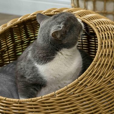 Будиночок для котів PawHut з ротангу з подушкою, котяче ліжко-купол для котів до 4 кг, Ø50×31 см, світло-коричневий, для дому