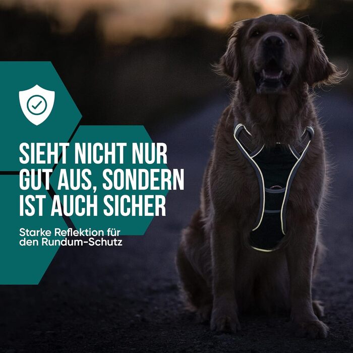 Набір повідка та шлейки для собак – дихаючий, регульований, з м'якою підкладкою та світловідбиваючими елементами – для великих та середніх собак (зелений, S (51-66 см обхват грудей))