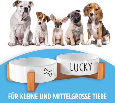 OWLBOOK Миска для собак з гравіюванням імені - подвійна миска з кераміки та бамбука, 300 мл