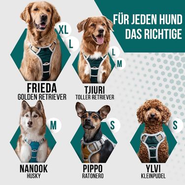 Набір повідка та шлейки для собак – дихаючий, регульований, з м'якою підкладкою та світловідбиваючими елементами – для великих та середніх собак (зелений, S (51-66 см обхват грудей))