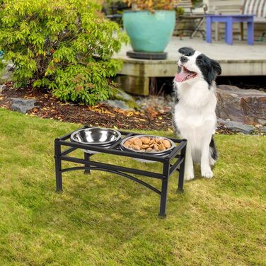 Підвищена годівниця для собак Funkeen з подвійними мисками з нержавіючої сталі, для середніх собак, об'єм 1 кварту