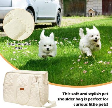 Транспортна сумка для собак та котів до 5 кг – переноска для маленьких тварин, складна, дихаюча, з ременем безпеки, ідеальна для прогулянок, подорожей та авто (35x25x15,5 см)