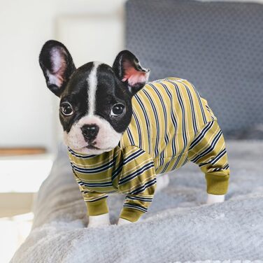 Захисний одяг для собак після операції: комбінезон для відновлення після кастрації/стерилізації (XXL, гірчичний)