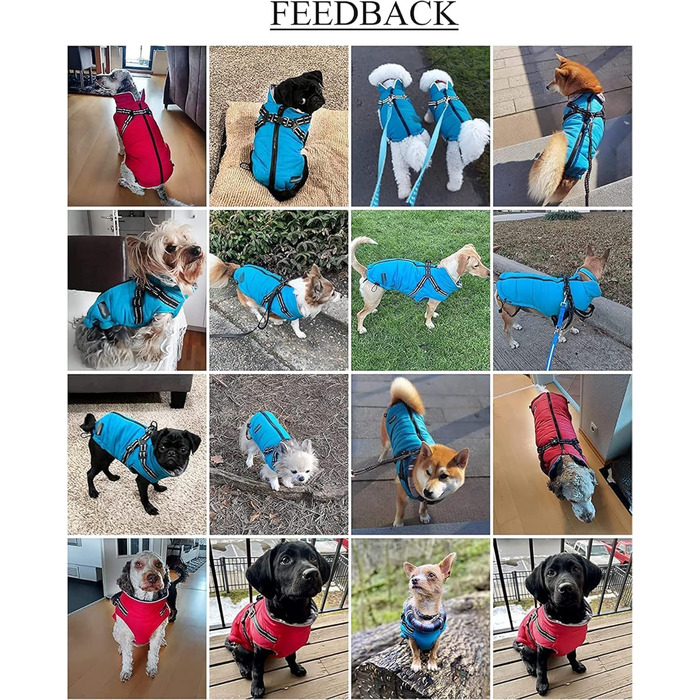 Водонепроникний зимовий теплий одяг для собак, теплий одяг для собак з шлейкою, для маленьких собак, розмір M (довжина спини 34 см), зелений