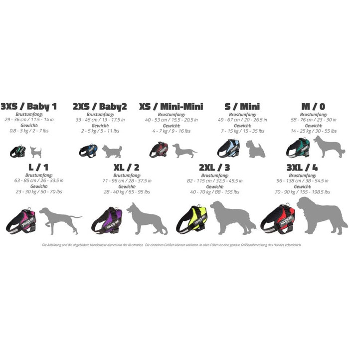 Шлейка Julius K-9 IDC Powergeschirre Anthrazitgrau з індивідуальним написом, для собак маленьких, середніх та великих порід, 16IDC+CUSTOMP-ANT