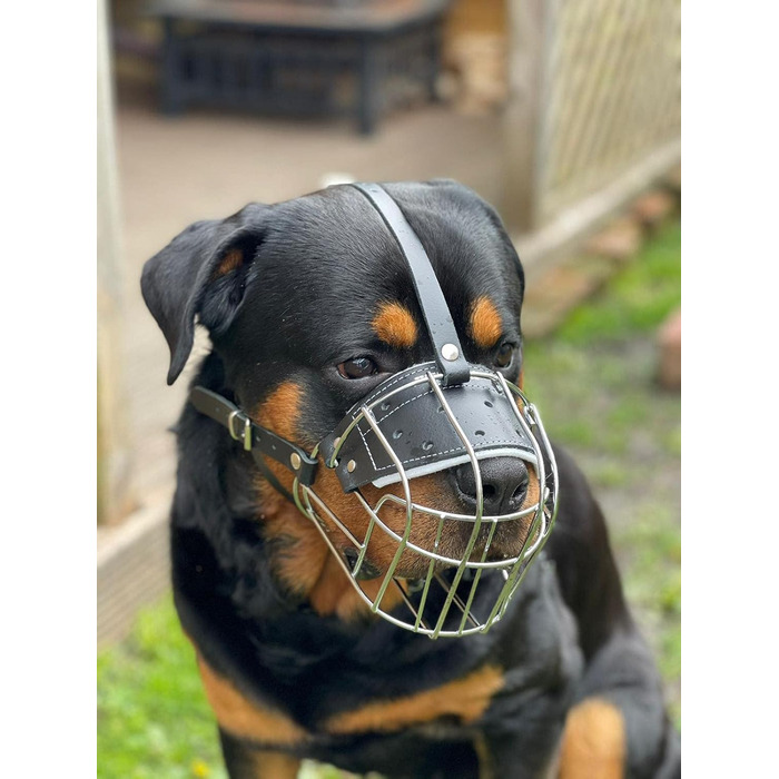 Міцний нашийник-маска для собак з металевої сітки, Rottweiler, Mastiff, Golden Retriever (R2, сріблястий/чорна шкіра)