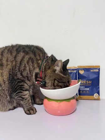 Котлові миски для котів Diskary: керамічні, підняті, з нахилом 15°, для котів, цуценят та маленьких собак (полуниця)