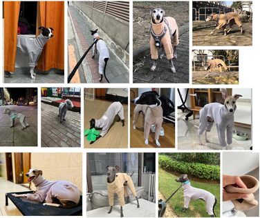 Теплий фланелевий халат для грейхаундів та віппетів: флісовий пуловер з ніжками, вітрозахисний халат з коміром-гетром, зимовий халат для собак маленьких, середніх та великих порід (Колір: Бежевий, Розмір: XX XXS Бежевий)