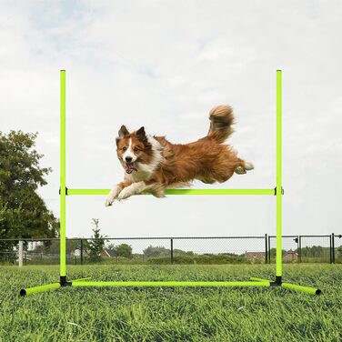 Набір для аджиліті для собак Froadp Agility Set: 4 бар'єри, стійки для слалому, регульована висота, тренувальний комплект 104x70x101 см, зелений