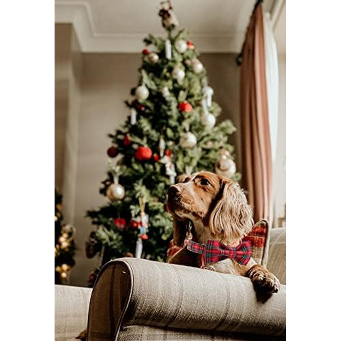 Ошатний нашийник для собак з метеликом, регульований, для собак та котів (M, 1 шт.) Шотландський червоний