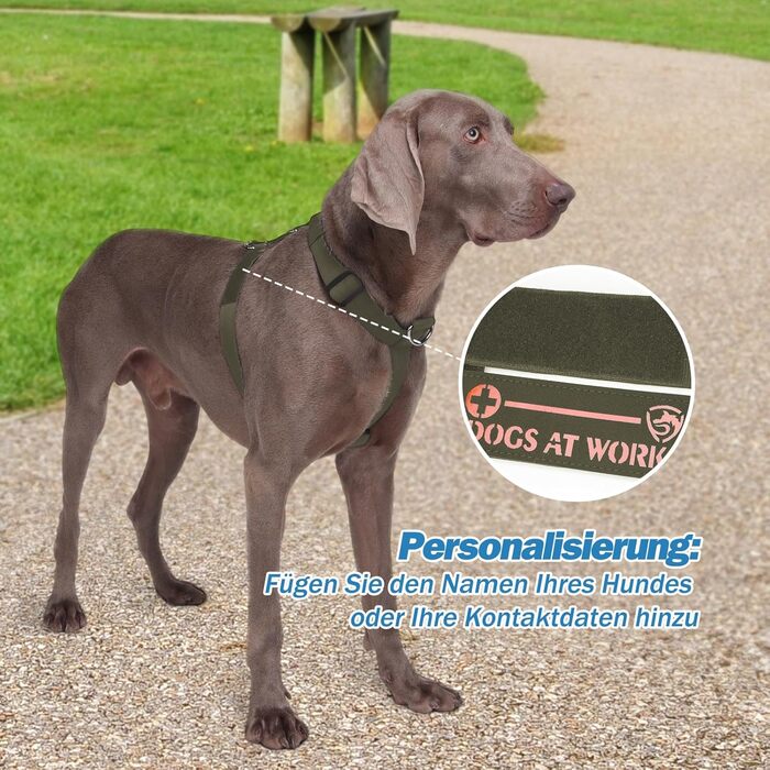 Шлейка для собак FeimaX великих порід, тактична, не тягне, дихаюча, зручна, зелена (L)