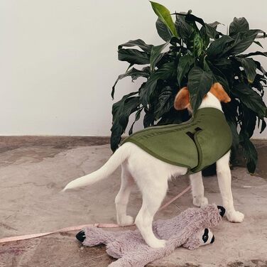 Пуловер для собак Queenmore з флісу, теплий зимовий одяг для маленьких порід (Йоркширський тер'єр, Пудель, Померанський шпіц), сірий, розмір S