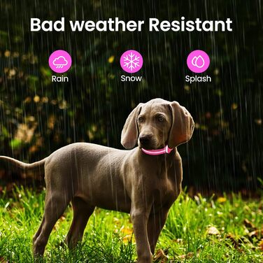 Світлодіодна нашийник для собак ASBRILL, перезарядна, 7 кольорів RGB, 8 світлодіодів, регульована, вологостійка, для маленьких, середніх та великих собак, (M, Рожевий)