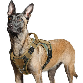 колір: камуфляж брауна