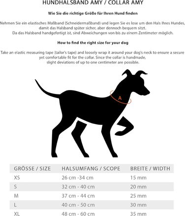 Нашийник для собак Джек Рассел з натуральної шкіри Amy - м'який, надійний, двошаровий нашийник для собак маленьких, середніх та великих порід (XS, Коричневий) XS (26.0-34.0 см)