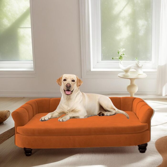 Диванчик для собак SEYNAR: м'який, з велюровою подушкою, для великих та середніх собак, для вітальні, миється, оранжевий