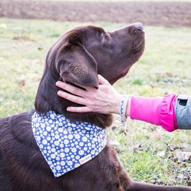 Pettsie нашийник для собак з банданою та браслетом, регульований, розмір S, темно-синій, подарунковий набір для власників собак