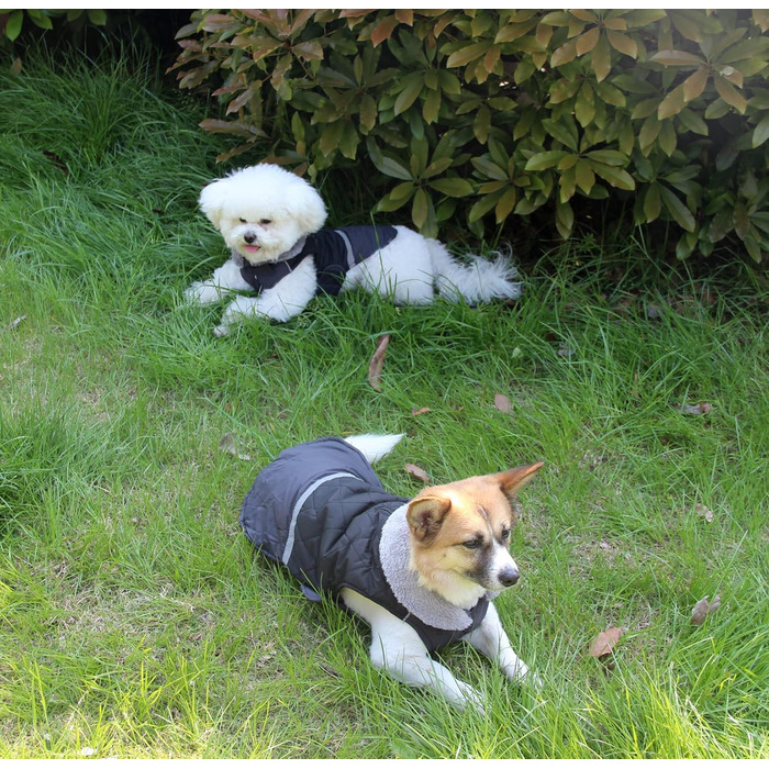 Водонепроникний теплий дощовик для собак, двійний, з флісовим коміром, для маленьких собак, синій, розмір S