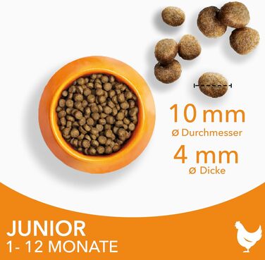 Сухий корм для кошенят IAMS з рибою та куркою для віку від 1 до 12 місяців, 3 кг