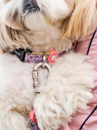 Нашийник для собак DUKIER, регульований, з неопрену, міцний, розмір M (FLOWER POWER)