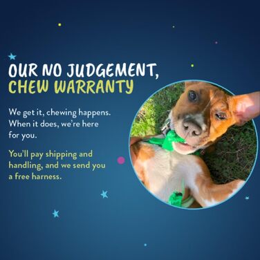 Шлея для собак Wiggles Wags Whiskers проти тягнення, середній розмір, чорна