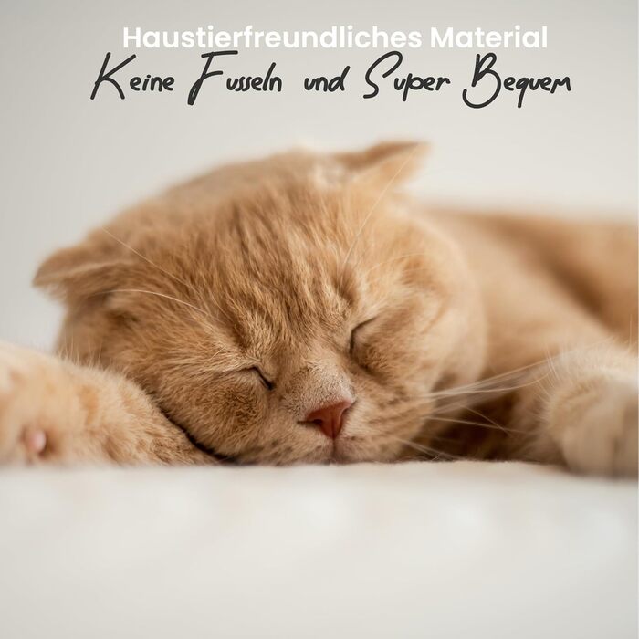 Кігтеточка-будиночок для котів DEFACTO, 143 см, з 4 кігтеточками, 2 платформами, гамаком (BEIGE)