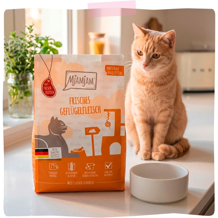 Сухий корм для котів MjAMjAM Premium з яловичиною, беззерновий, 1.5 кг