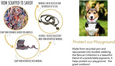 Ошийник для собак OllyDog Rescue регульований, легкий, з міцною пряжкою, для великих, середніх і малих порід, призматично-зелений