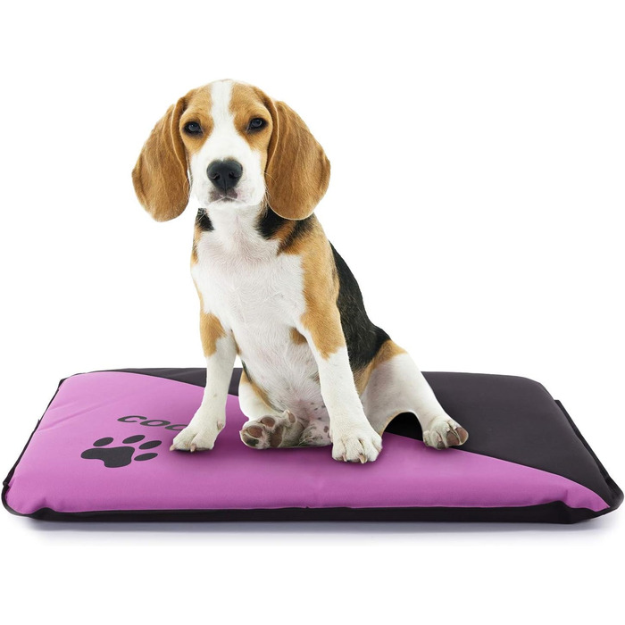 Водонепроникна лежанка для собак, миється, для великих, середніх та маленьких собак, внутрішнє та зовнішнє використання, міцна, розмір S (75 x 50 x 6 см, Malve)