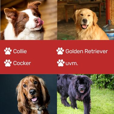Професійна ножиця для собак EHASO Revolution New Dimension | 21 см | Японська сталь | Висока якість