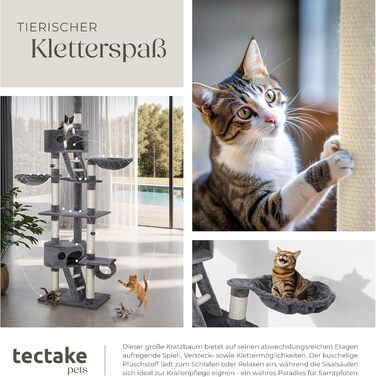 tectake Котячий кігтеточка-дерево XXL, регульована висота 243-260 см, з драбинкою, будиночком, трубою, лежанкою та сизалевими стовпчиками, сірий